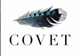 Covet, Aspen Jewelry